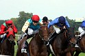 Ascot Renntag09   116